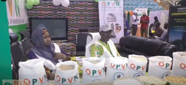 foire de laes a niamey lopvn vitrine strategique de la souverainete alimentaire nigerienne