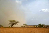 Pluie_niger_Sophie
