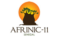 Afrinic_11