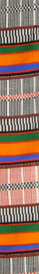 Nigerdiaspora_2011