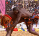 Lutte_Tahoua_03_03