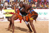 Poursuite du 31ème championnat national de lutte traditionnelle à Zinder : des combats de plus en plus serrés