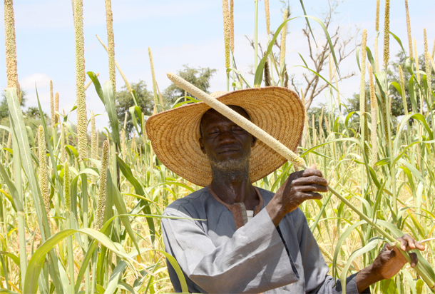 Un agriculteur nigérien
