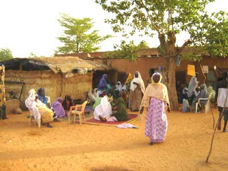 Nigerdiaspora 