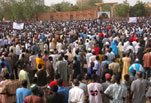 niger niger