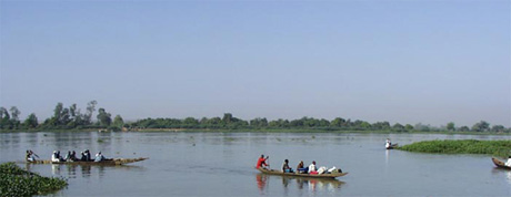Image Image
