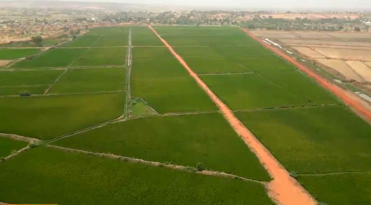 programme grande irrigation au niger 80 de realisation sur le site de saguia amont