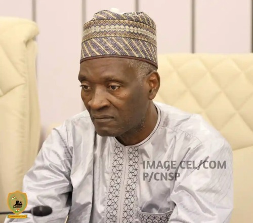 Pr. Mamadou Saidou