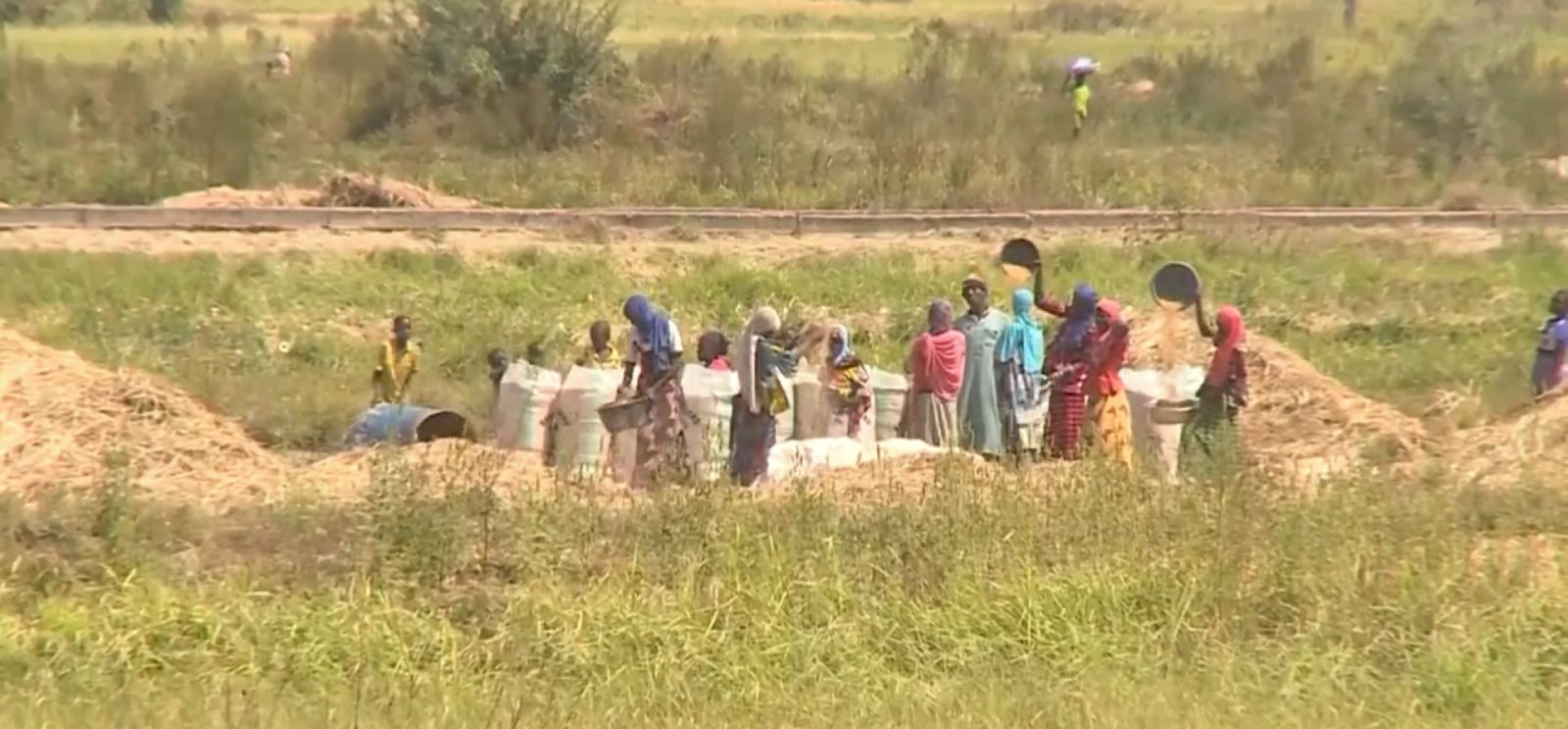 de la flambee a labondance comment le niger a reussi a faire chuter les prix alimentaires