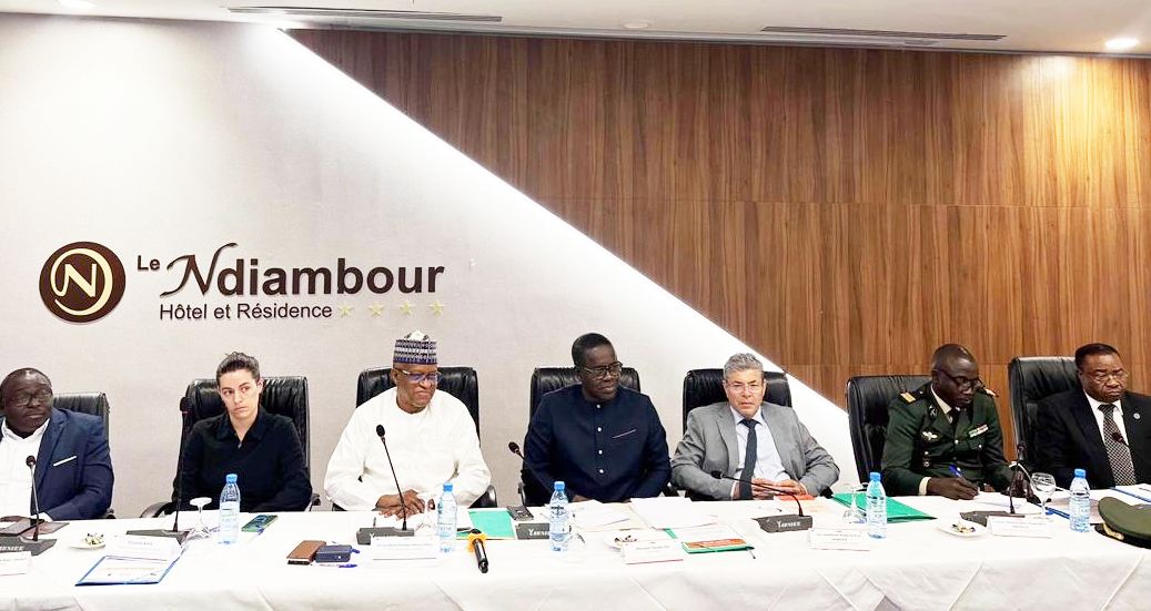 discours inaugural maman s sidikou repenser la democratie en periode dinstabilite au sahel et en afrique de louest goree institute