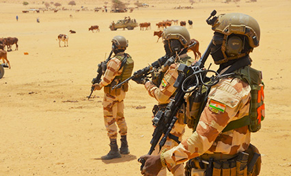 Fds Niger