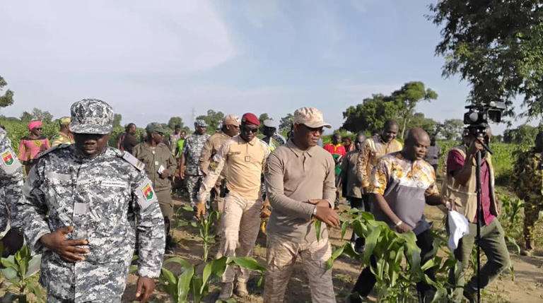 niger mali burkina faso les prisons agricoles comme outil de reinsertion sociale