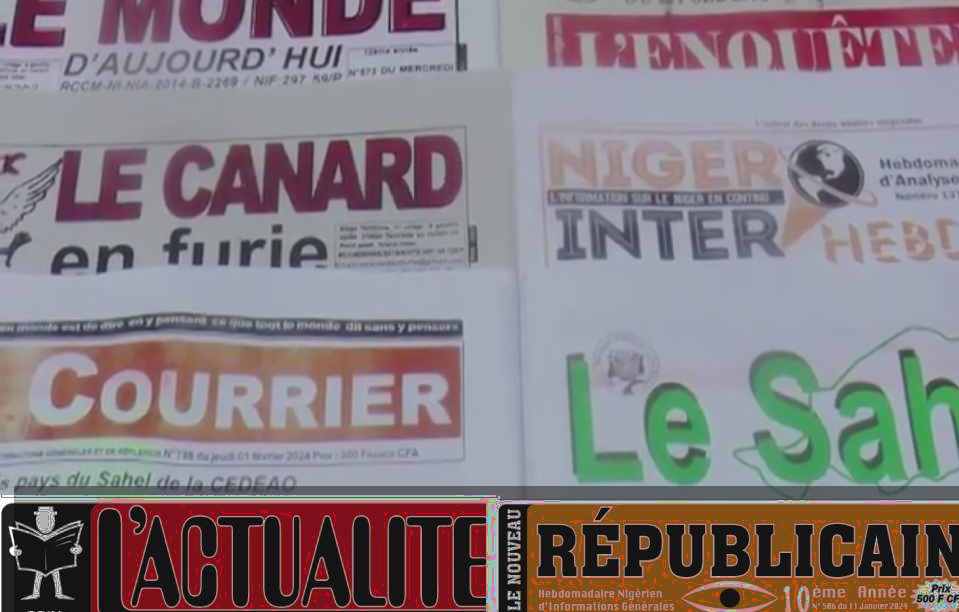 Revue De presse Nigerdiaspora