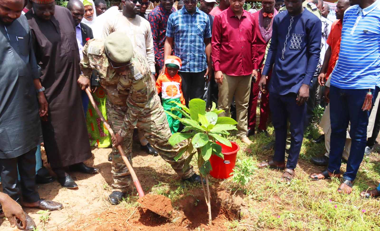lancement du programme bois des heros de la resistance lecologie au service de la memoire nationale Niger