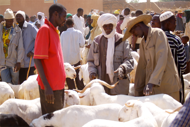 L'air du temps : Tabaski, ou le mouton de tous les défis